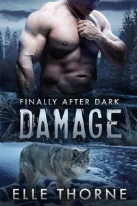 Damage: Finally After Dark