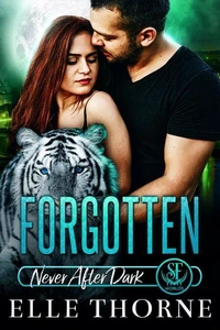 Forgotten: Never After Dark