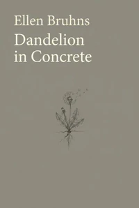 Dandelion in Concrete