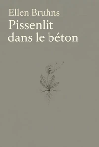 Pissenlit dans le béton