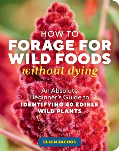 How to Forage for Wild Foods without Dying. An Absolute Beginner's Guide to Identifying 40 Edible Wild Plants