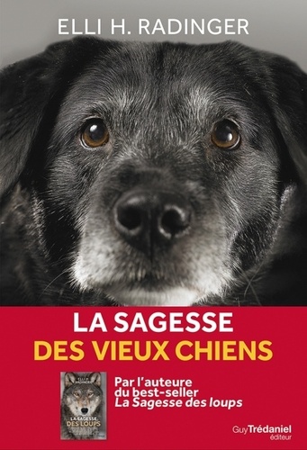 La sagesse des vieux chiens. Tout ce que le meilleur ami de l'homme peut nous apprendre de la vie