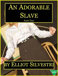 An Adorable Slave (Part Two)