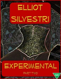 Experimental Part Two