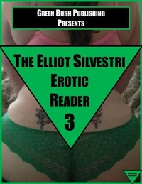 The Elliot Silvestri Erotic Reader Volume 3