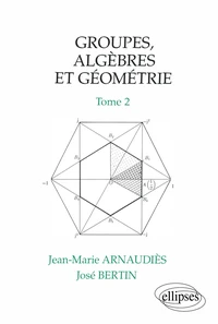 Groupes, algèbres et géométrie Tome 2