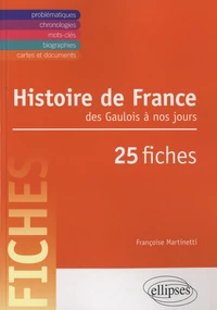 Histoire de France des Gaulois à nos jours