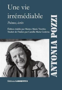 Une vie irrémédiable