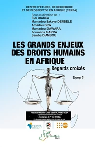 Les grands enjeux des droits humains en Afrique