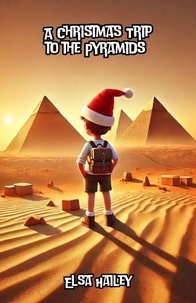 A Christmas Trip to the Pyramids