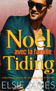 Noël avec la famille Tiding: collection de romans de vacances courts et torrides