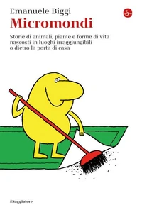 Micromondi