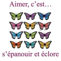 Emece Editeur - Sac soufflet Papillons Hiver Multicolore face.