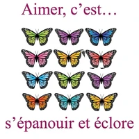Sac soufflet Papillons Hiver Multicolore face