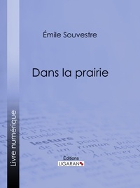  Emile Souvestre et  Ligaran - Dans la prairie.
