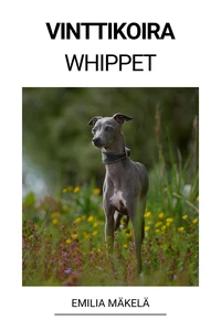 Vinttikoira (Whippet)
