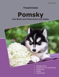 Traumrasse Pomsky