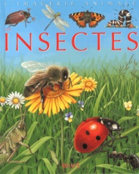 Les insectes.pdf