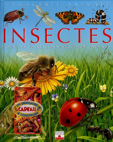 Les insectes. Pour les faire connaître aux enfants  avec 1 Jeu