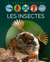 Emilie Beaumont - Les insectes.