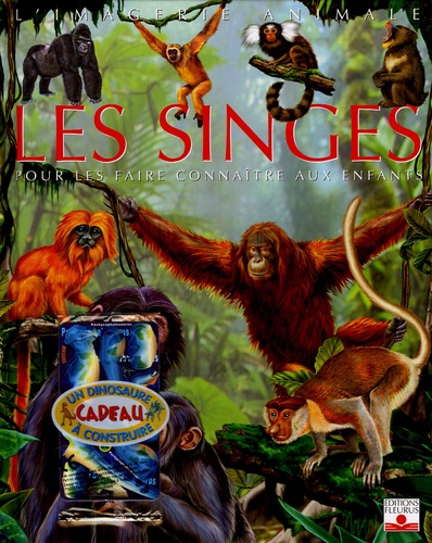 Emilie Beaumont et Raphaëlle Chauvelot - Les singes - Pour les faire connaître aux enfants. 1 Jeu