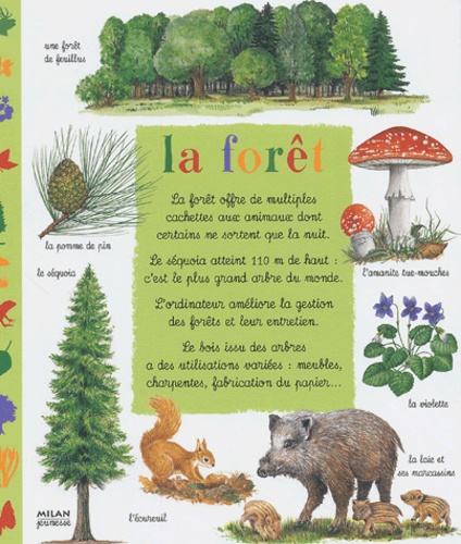 Emilie Bonatre et Florence Guiraud - La forêt.