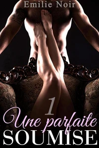 Une Parfaite Soumise - Vol. 1