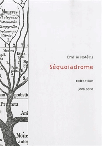 Emilie Notéris - Séquoiadrome.