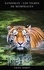 Sandokán: Los tigres de Mompracem