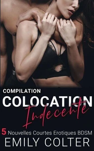 Compilation Colocation Indécente - 5 nouvelles BDSM
