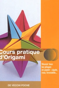 Cours Pratique D'Origami