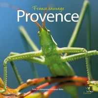 Provence