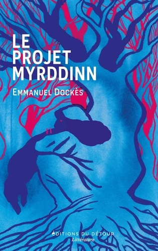 Le projet Myrddinn