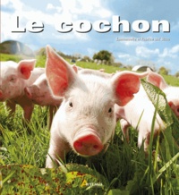 Le cochon.pdf
