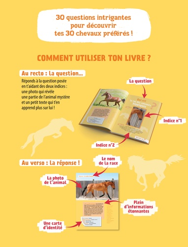 Chevaux et poneys