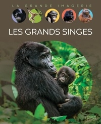 Epub téléchargements ibooks Les grands singes RTF 9782215194347 (Litterature Francaise)