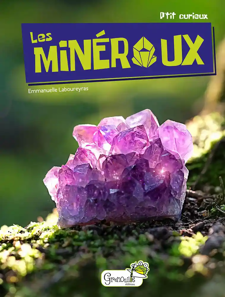 couverture de : Les min&eacute;raux