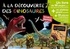 Emmanuelle Ousset - A la découverte des dinosaures - Avec 1 plateau aimanté et 39 pièces magnétiques.