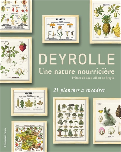 Emmanuelle Polle - Deyrolle, une nature nourricière - 21 planches à encadrer.