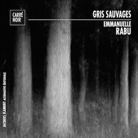 Emmanuelle Rabu - Gris sauvages.