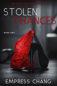 Stolen Chances