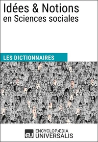 Dictionnaire des Idées &amp; Notions en Sciences sociales