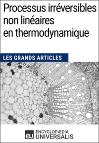  Encyclopaedia Universalis - Processus irréversibles non linéaires en thermodynamique - Les Grands Articles d'Universalis.