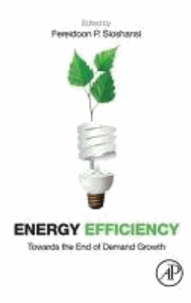 Energy Efficiency - Towards the End of Demand Growth.