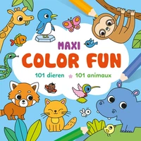 Maxi color fun