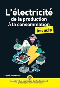 Enguérand Renault - L'électricité de la production à la consommation pour les nuls.