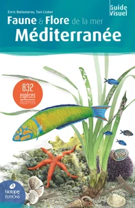 Faune et flore de la mer Méditerranée