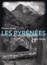 Les Pyrénées à l'assaut du château