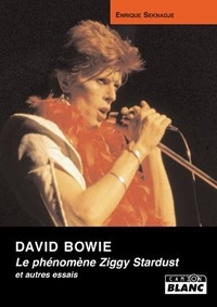 Enrique Seknadje - David Bowie - Le phénomène Ziggy Stardust et autres essais.