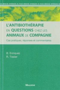 L'antibiothérapie en questions chez les animaux de compagnie